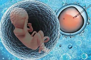 试管代怀生子助孕代妈试管婴儿中心
